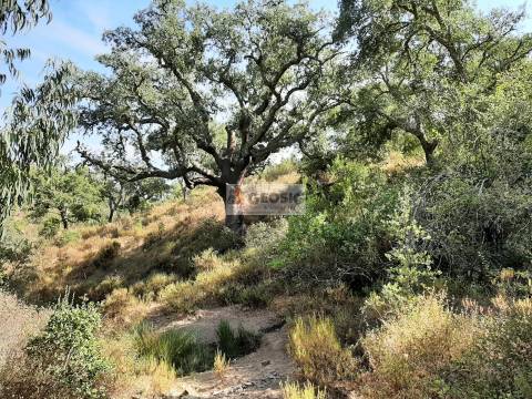 Terreno Rústico  Venda em Santa Clara-a-Nova e Gomes Aires,Almodôvar