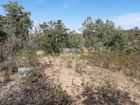 Terreno Rústico  Venda em Santa Clara-a-Nova e Gomes Aires,Almodôvar
