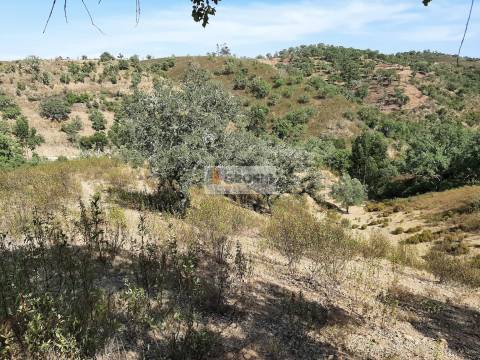 Terreno Rústico  Venda em Santa Clara-a-Nova e Gomes Aires,Almodôvar