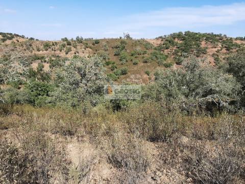 Terreno Rústico  Venda em Santa Clara-a-Nova e Gomes Aires,Almodôvar