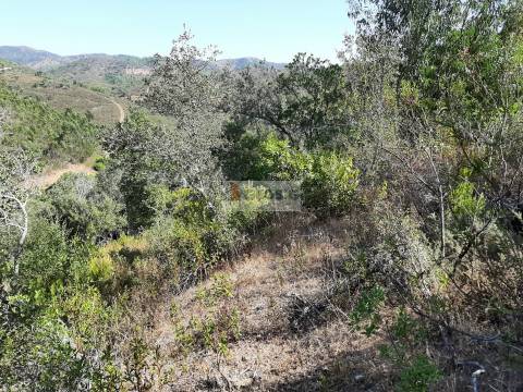 Quintinha T1 Venda em São Marcos da Serra,Silves