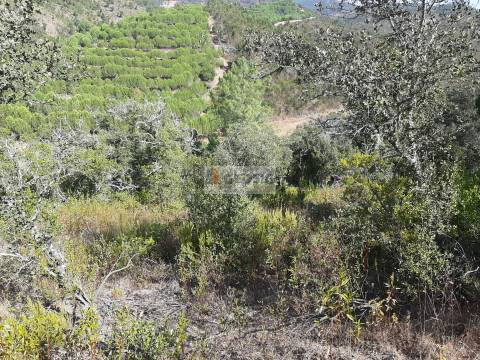 Quintinha T1 Venda em São Marcos da Serra,Silves