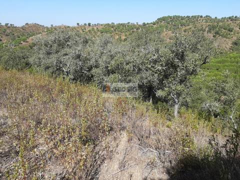 Quintinha T1 Venda em São Marcos da Serra,Silves