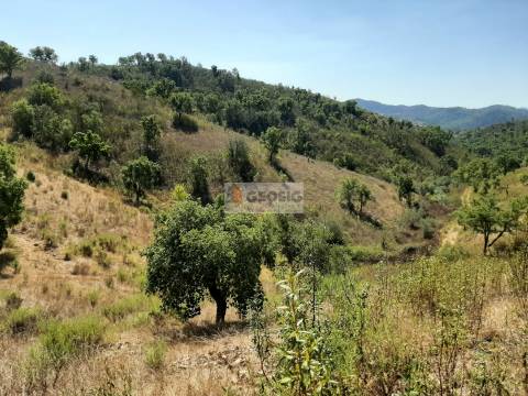 Quintinha T1 Venda em São Marcos da Serra,Silves