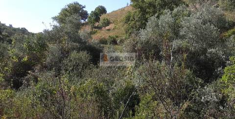 Quintinha T1 Venda em São Marcos da Serra,Silves