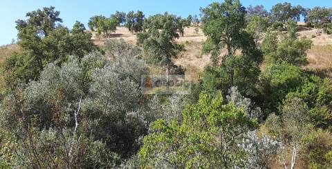 Quintinha T1 Venda em São Marcos da Serra,Silves