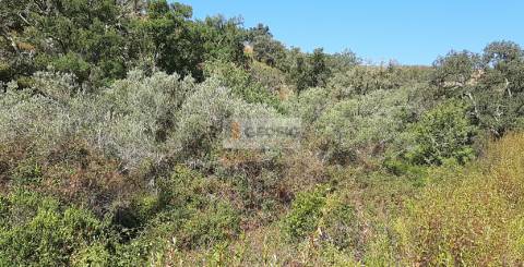 Quintinha T1 Venda em São Marcos da Serra,Silves