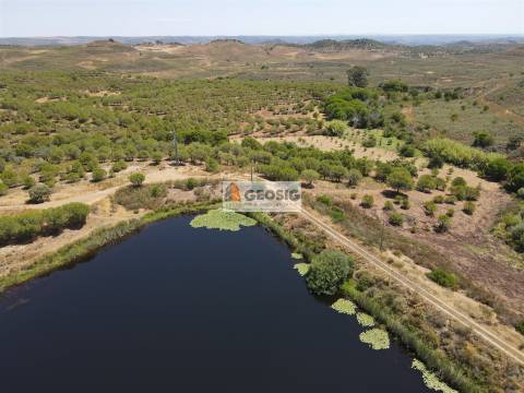 Terreno Rústico  Venda em Vaqueiros,Alcoutim