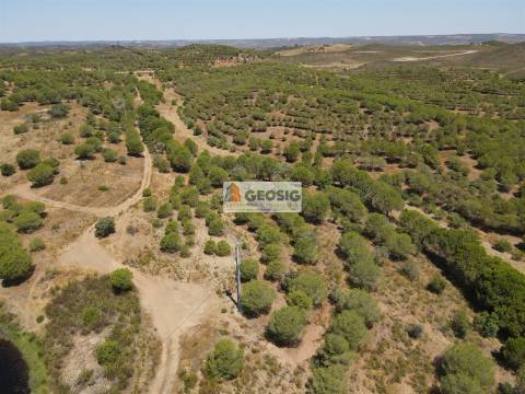 Terreno Rústico  Venda em Vaqueiros,Alcoutim