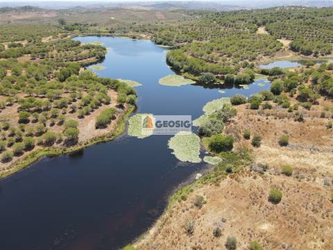 Terreno Rústico  Venda em Vaqueiros,Alcoutim