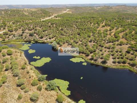 Terreno Rústico  Venda em Vaqueiros,Alcoutim