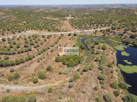 Terreno Rústico  Venda em Vaqueiros,Alcoutim