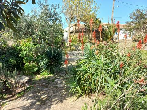 Monte alentejano T7 Turismo Rural