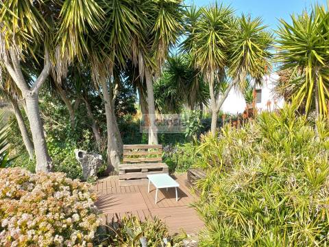 Monte alentejano T7 Turismo Rural