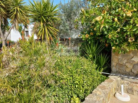 Monte alentejano T7 Turismo Rural