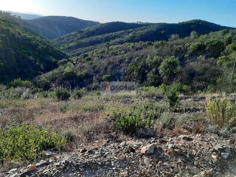 Terreno  Venda em São Barnabé,Almodôvar