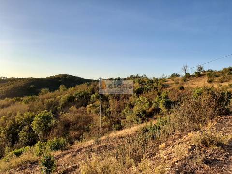Terreno  Venda em São Barnabé,Almodôvar