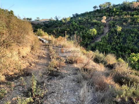 Terreno  Venda em São Barnabé,Almodôvar