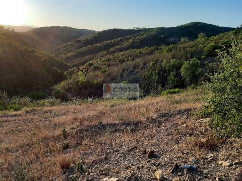 Terreno  Venda em São Barnabé,Almodôvar