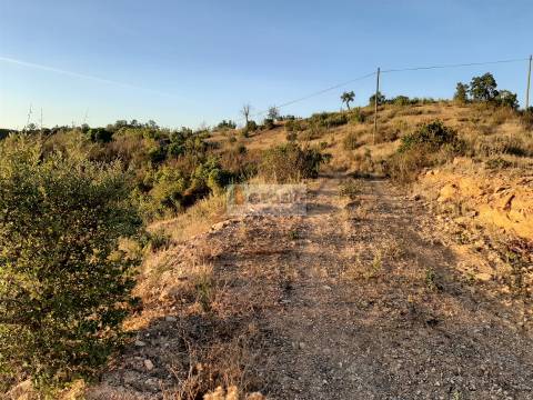 Terreno  Venda em São Barnabé,Almodôvar