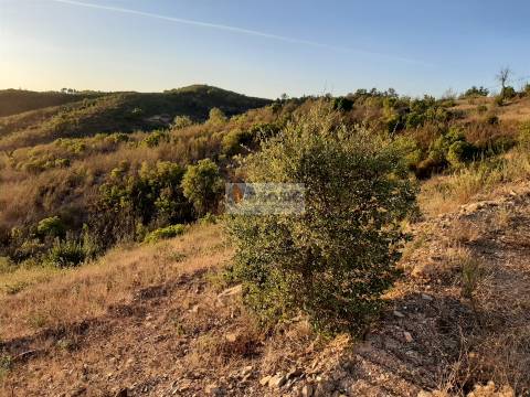 Terreno  Venda em São Barnabé,Almodôvar