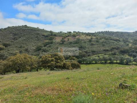 Quintinha T2+1 Venda em Ameixial,Loulé