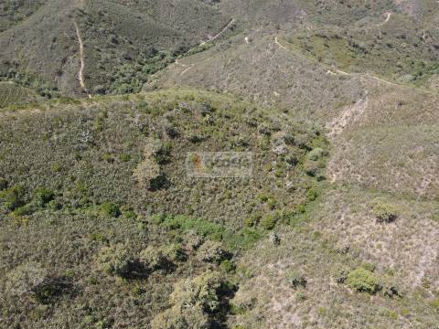 Terreno  Venda em São Barnabé,Almodôvar