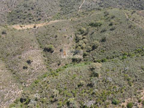 Terreno  Venda em São Barnabé,Almodôvar