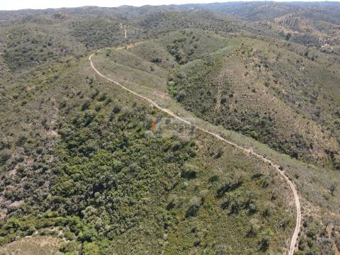 Terreno  Venda em São Barnabé,Almodôvar
