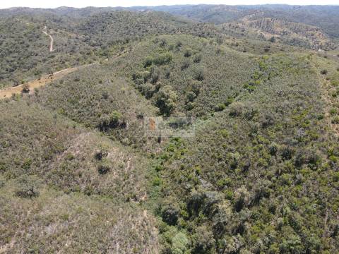 Terreno  Venda em São Barnabé,Almodôvar