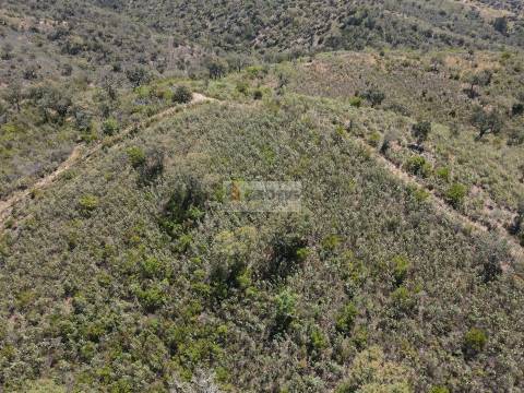 Terreno  Venda em São Barnabé,Almodôvar