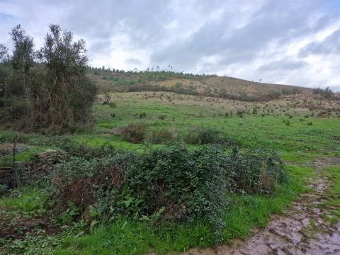 Herdade T4 Venda em Sabóia,Odemira