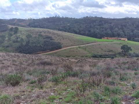 Herdade T4 Venda em Sabóia,Odemira