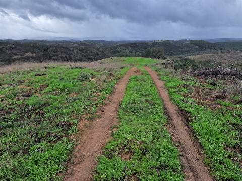 Herdade T4 Venda em Sabóia,Odemira