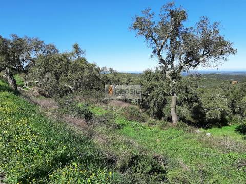 Terreno Rústico  Venda em São Barnabé,Almodôvar