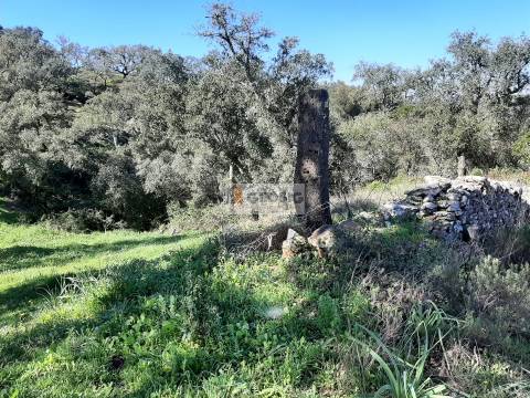 Terreno Rústico  Venda em São Barnabé,Almodôvar