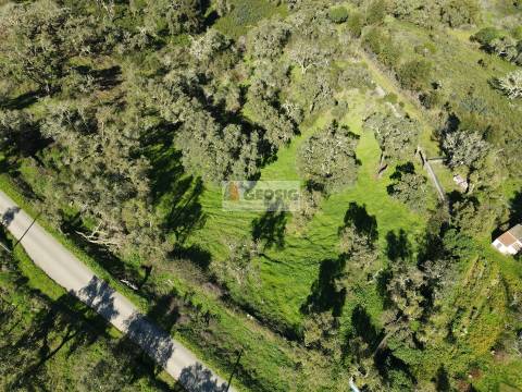 Terreno Rústico  Venda em São Barnabé,Almodôvar