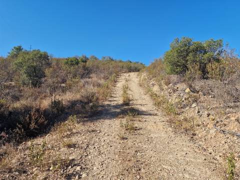 Terreno Rústico  Venda em São Barnabé,Almodôvar