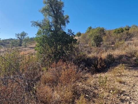 Terreno Rústico  Venda em São Barnabé,Almodôvar
