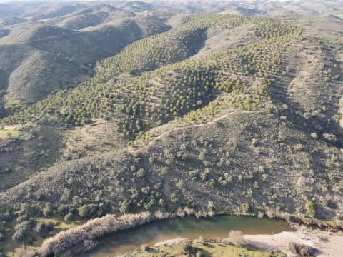 Terrenos rústicos Santa Cruz