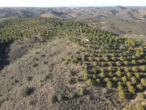 Terrenos rústicos Santa Cruz