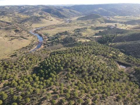 Terrenos rústicos Santa Cruz