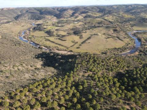 Terrenos rústicos Santa Cruz