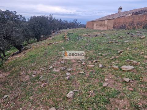 Moradia Geminada T3 Venda em Ourique,Ourique