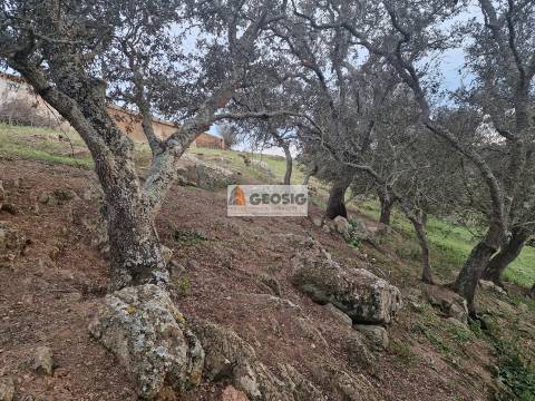 Moradia Geminada T3 Venda em Ourique,Ourique