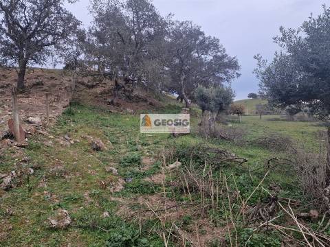 Moradia Geminada T3 Venda em Ourique,Ourique