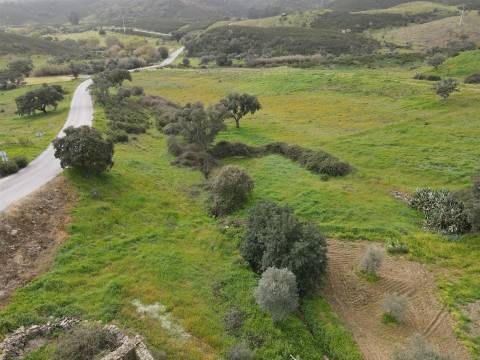 Quintinha T3 Venda em Santa Cruz,Almodôvar