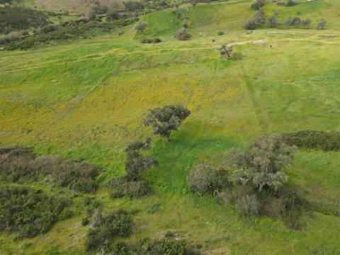 Quintinha T3 Venda em Santa Cruz,Almodôvar