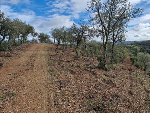 Terreno  Venda em Santa Cruz,Almodôvar