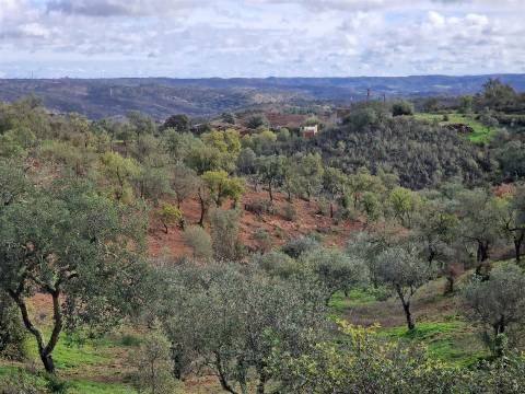 Terreno  Venda em Santa Cruz,Almodôvar